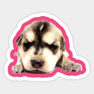 Puppy Sticker